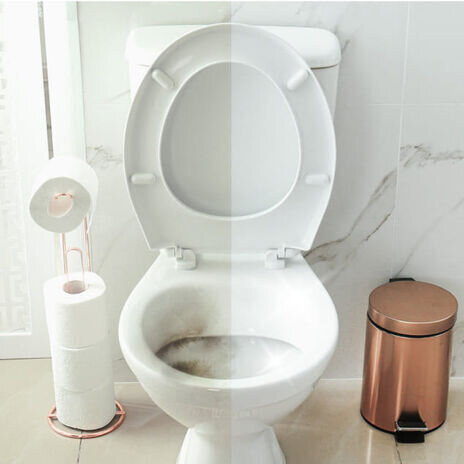 BriskTote image
